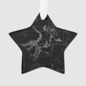 Silver Chrome wie Gemini Zodiac Sign auf Hevelius Ornament (Rückseite)