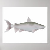 Silver Cobbler Poster (Vorne)