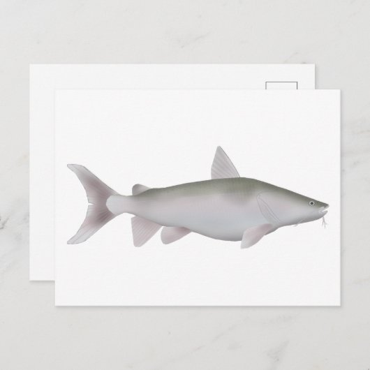 Silver Cobbler Postkarte (Vorne/Hinten)