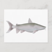 Silver Cobbler Postkarte (Vorderseite)