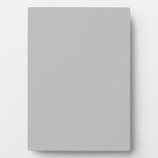 Silver Contemporary Cfarbed Fotoplatte (Vorderseite)