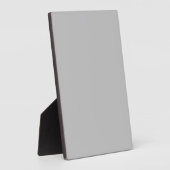 Silver Contemporary Cfarbed Fotoplatte (Seite)