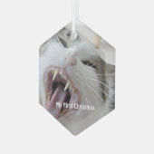 Silver Crazy Cat My First Christmas Foto Ornament Aus Glas (Vorderseite Links)