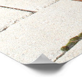 Silver Dapple Dackel Buddy 2 Poster (Ecke)