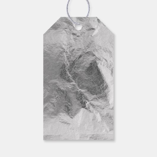 Silver Dinosaur Roar Geburtstag Geschenkanhänger (Rückseite)