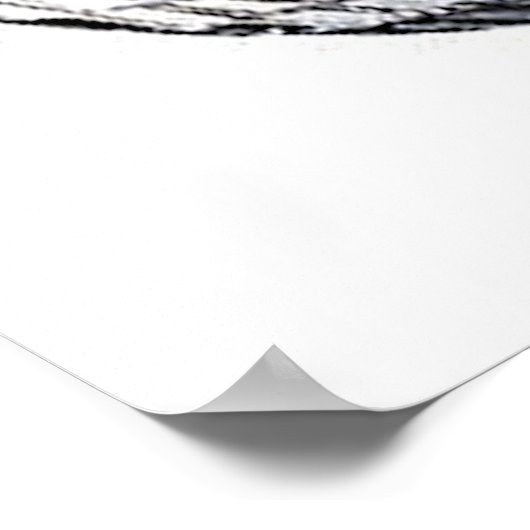 Silver Disco Ball Poster (Ecke)