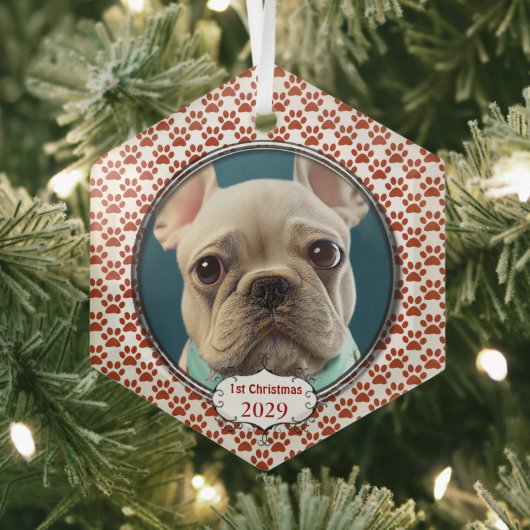 Silver Dog Paws mein erstes Weihnachtsgeschenk Fot Ornament Aus Glas (Insitu)