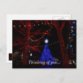 Silver Dollar City Weihnachten (Vorne/Hinten)