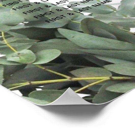 Silver Dollar Eukalyptus Wedding Chart Poster (Ecke)