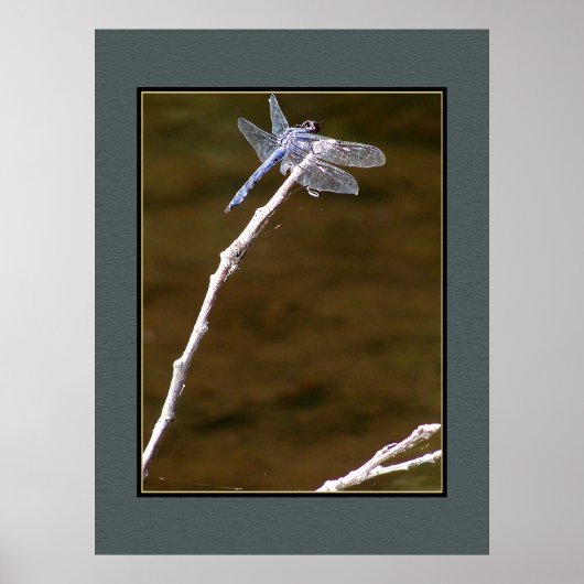 Silver Dragonfly Poster (Vorne)