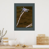 Silver Dragonfly Poster (Küche)