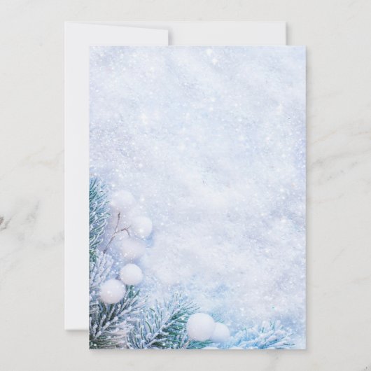 Silver Dress Winter Wonderland Sweet 16 Party Einladung (Rückseite)