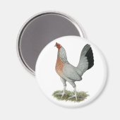 Silver Duckwing Game Hen Magnet (Vorderseite/Rückseite)