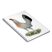 Silver Duckwing Game Hen Notizblock (Rechte Seite)
