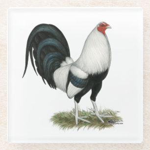 Silver Duckwing Gamecock Glasuntersetzer