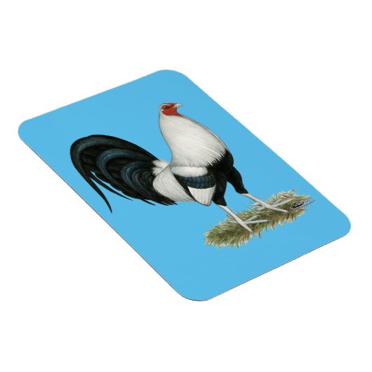 Silver Duckwing Gamecock Magnet (Rechte Seite)