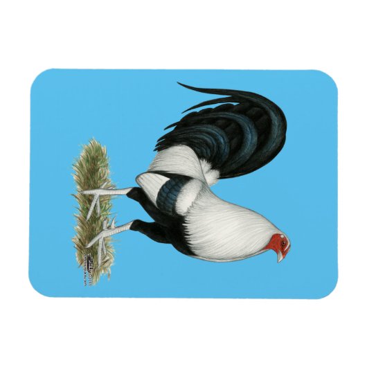 Silver Duckwing Gamecock Magnet (Horizontal)
