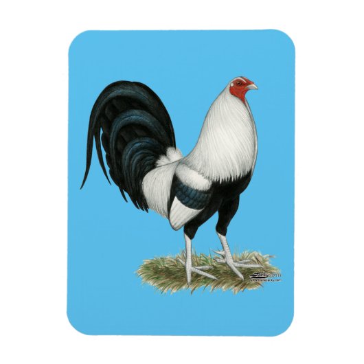 Silver Duckwing Gamecock Magnet (Vertikal)