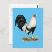 Silver Duckwing Gamecock Postkarte (Vorne/Hinten)