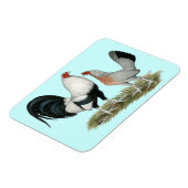 Silver Duckwing Gamefowl Magnet (Linke Seite)