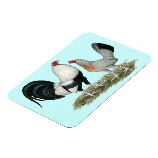 Silver Duckwing Gamefowl Magnet (Linke Seite)