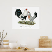 Silver Duckwing Gamefowl Poster (Küche)