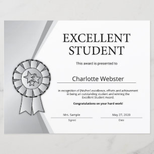 Silver Excellent Student Award Ehrenzertifikat