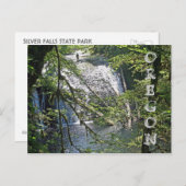 Silver Falls 4 Postkarte (Vorne/Hinten)