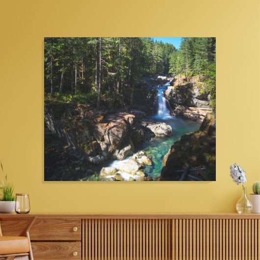 Silver Falls, Mount Rainier National Park Leinwanddruck (Insitu (Wohnzimmer))