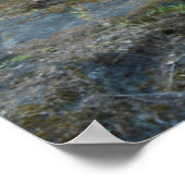 Silver Falls, Mount Rainier National Park Poster (Ecke)