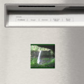 Silver Falls Park Magnet (In Situ (Geschirrspüler))