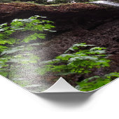 Silver Falls Staat Park Fotodruck (Ecke)