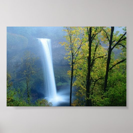 Silver Falls Staat Park, Oregon Poster (Vorne)