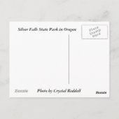 Silver Falls Staat Park Postcard Postkarte (Rückseite)