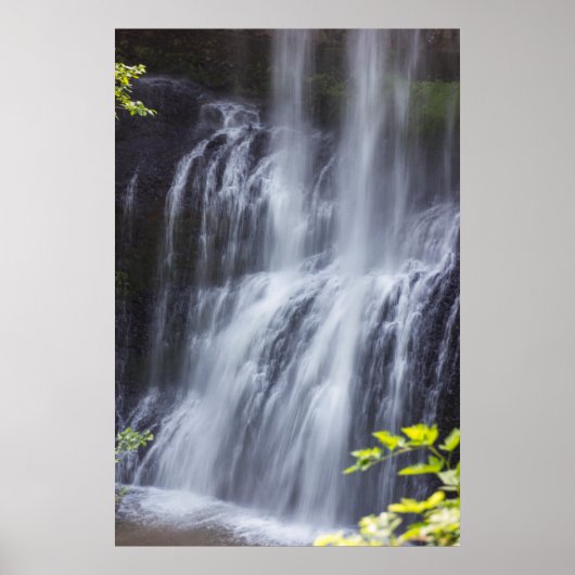 Silver Falls Willamette Valley Oregon Middle Falls Poster (Vorne)
