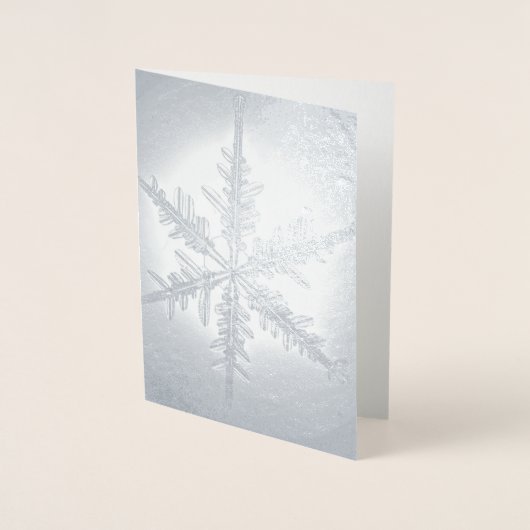 Silver Foil Fern Snowflake Card Folienkarte (Vorderseite)