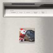 Silver Fox Guinea Pig und Weihnachtsmann Magnet (In Situ (Geschirrspüler))