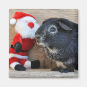 Silver Fox Guinea Pig und Weihnachtsmann Magnet (Vorne)