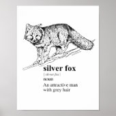 SILVER FOX - POSTER (Vorne)
