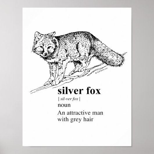 SILVER FOX - POSTER (Vorne)