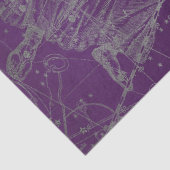 Silver Galaxy Star Map Series Design 11 Seidenpapier (Detail)