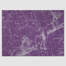 Silver Galaxy Star Map Series Design 3 Seidenpapier