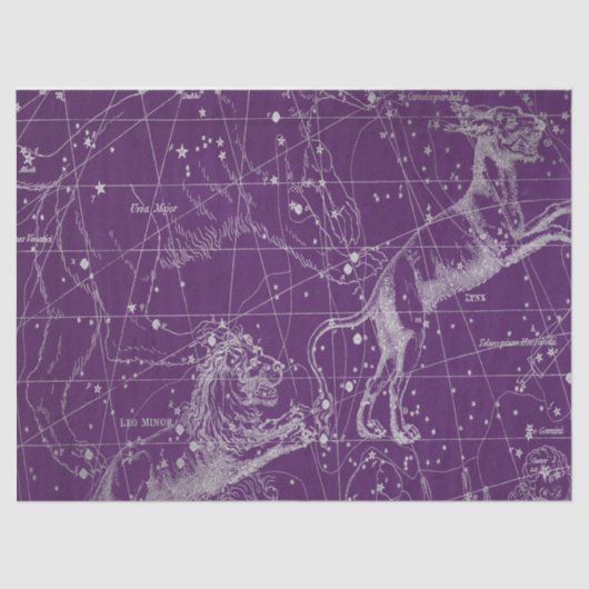 Silver Galaxy Star Map Series Design 3 Seidenpapier (Vorderseite)