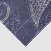 Silver Galaxy Star Map Series Design 5 Seidenpapier (Detail)