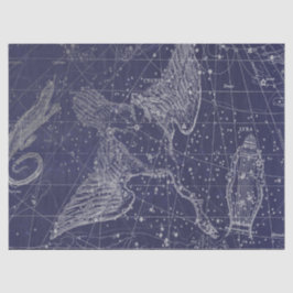 Silver Galaxy Star Map Series Design 5 Seidenpapier