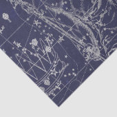Silver Galaxy Star Map Series Design 8 Seidenpapier (Detail)