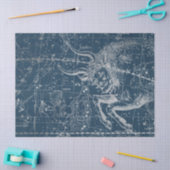 Silver Galaxy Star Map Series Design 9 Seidenpapier (Basteln)