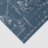 Silver Galaxy Star Map Series Design 9 Seidenpapier (Detail)