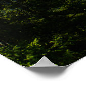 Silver Gate Montana Poster (Ecke)