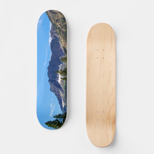 Silver Gate Montana Skateboard (Vorderseite)